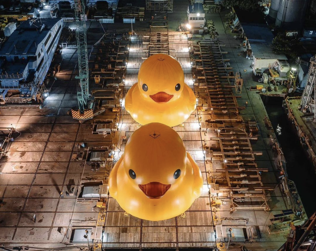 DOUBLE DUCKS: The Giant rubber ducks are back in Hong Kong after a